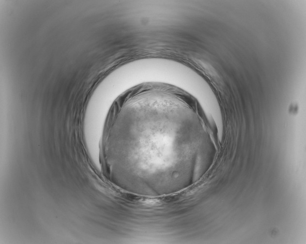 X0000093150409200710241406