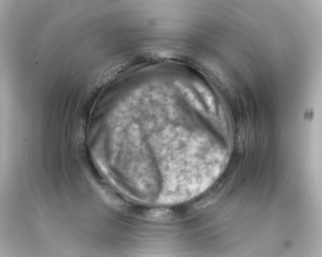 X0000093150410200710241406