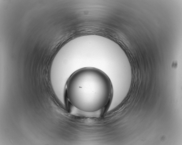 X0000093150412200710241406