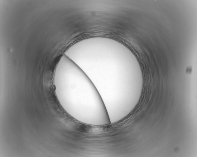 X0000093150413200710241406