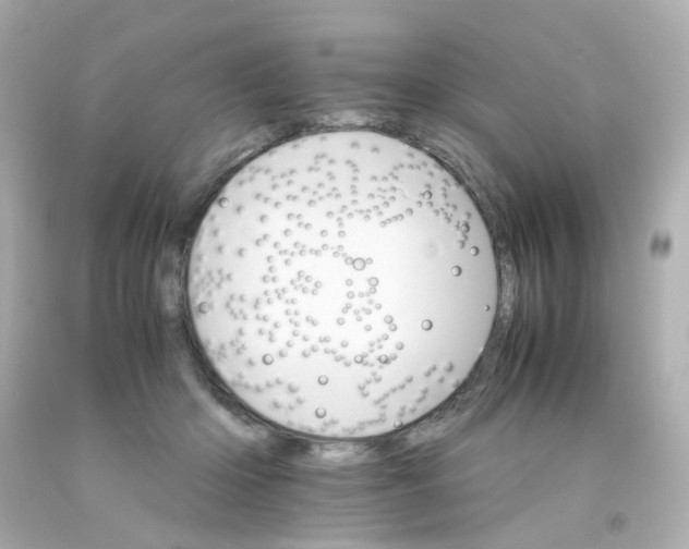 X0000093150414200710241406