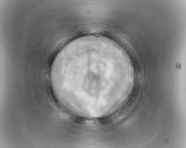 X0000093150415200710241406