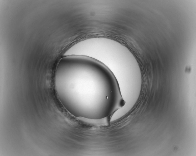 X0000093150416200710241406