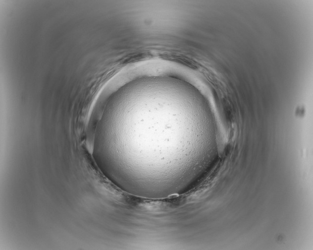 X0000093150417200710241406