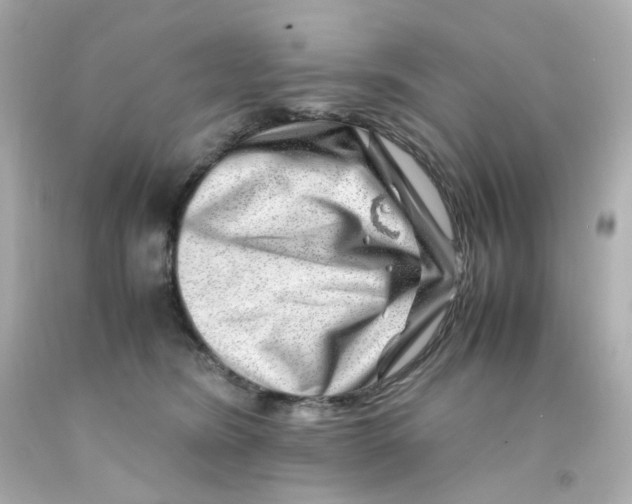 X0000093150420200710241406