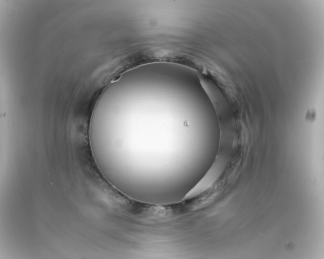 X0000093150421200710241406