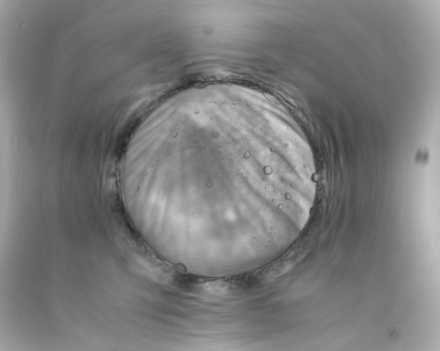 X0000093150423200710241406