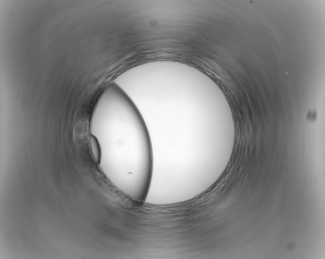 X0000093150425200710241406