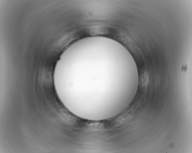 X0000093150426200710241406