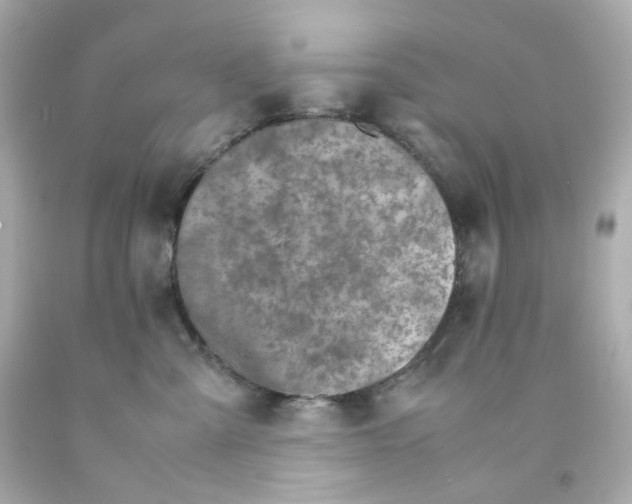 X0000093150427200710241406