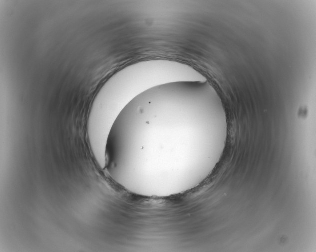 X0000093150428200710241406