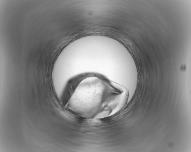 X0000093150429200710241406