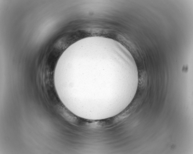 X0000093150430200710241406