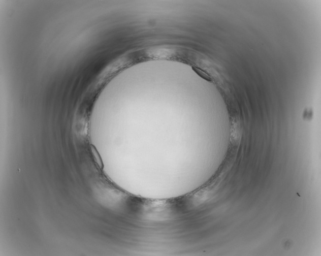 X0000093150431200710241406