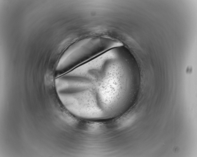 X0000093150432200710241406