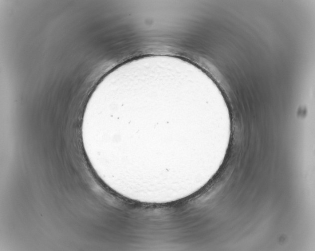 X0000093150433200710241406