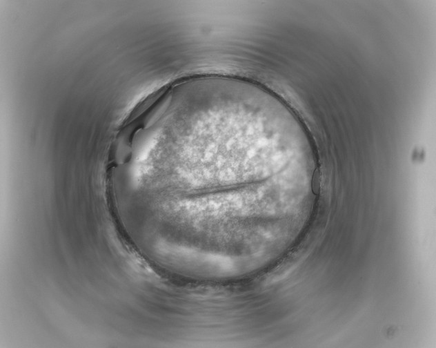 X0000093150434200710241406