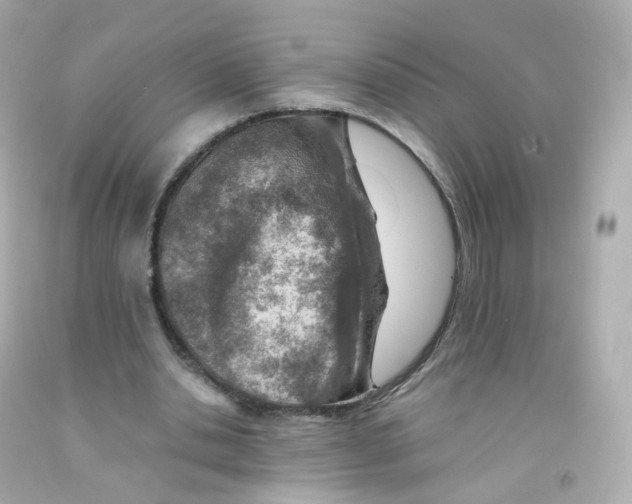 X0000093150438200710241406