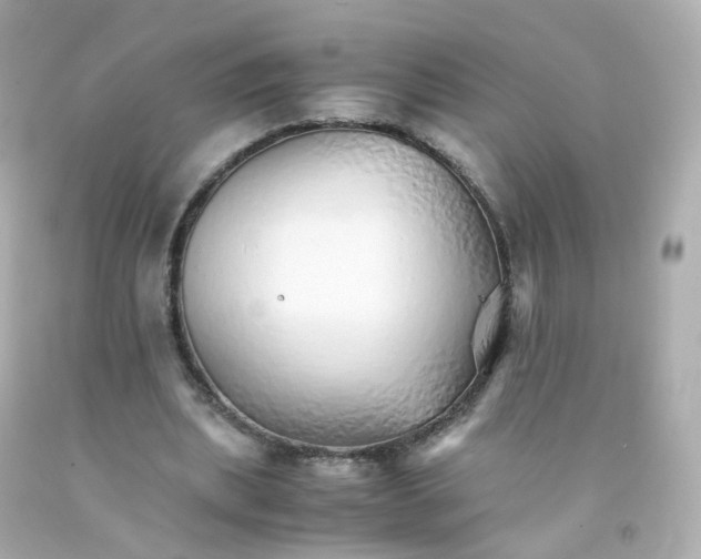 X0000093150439200710241406