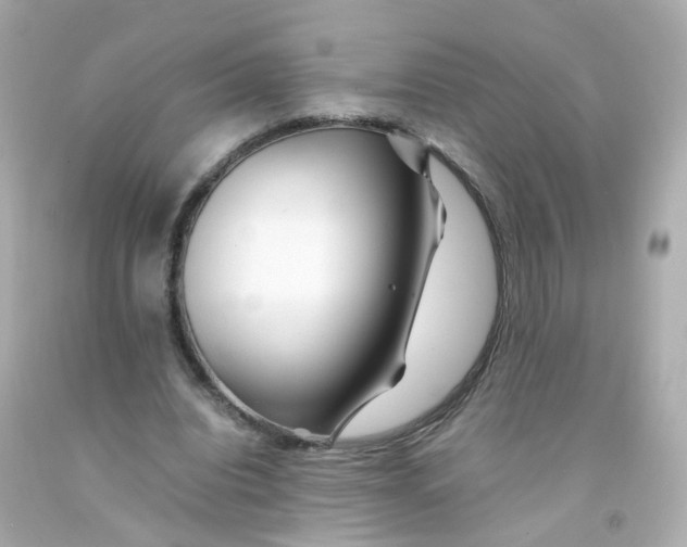 X0000093150440200710241406