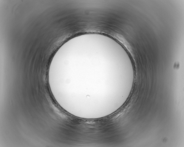 X0000093150441200710241406