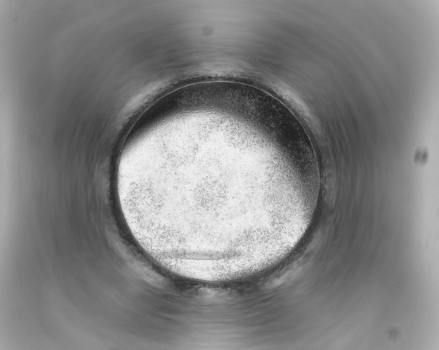 X0000093150442200710241406