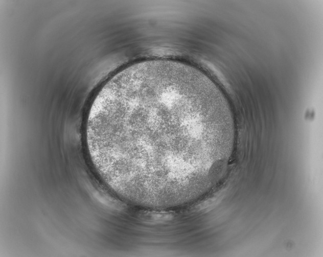 X0000093150443200710241406