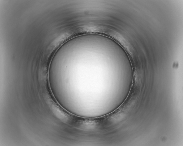 X0000093150445200710241406