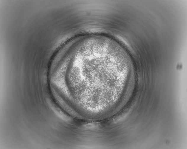 X0000093150447200710241406