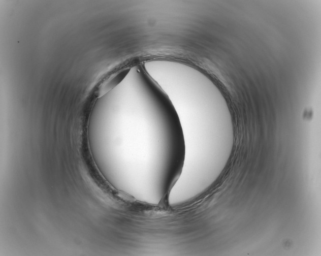 X0000093150448200710241406