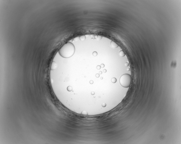 X0000093150451200710241406