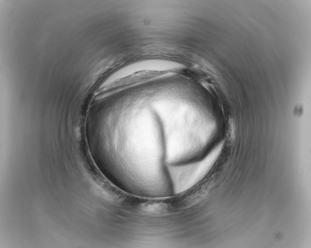 X0000093150452200710241406