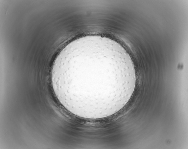 X0000093150455200710241406