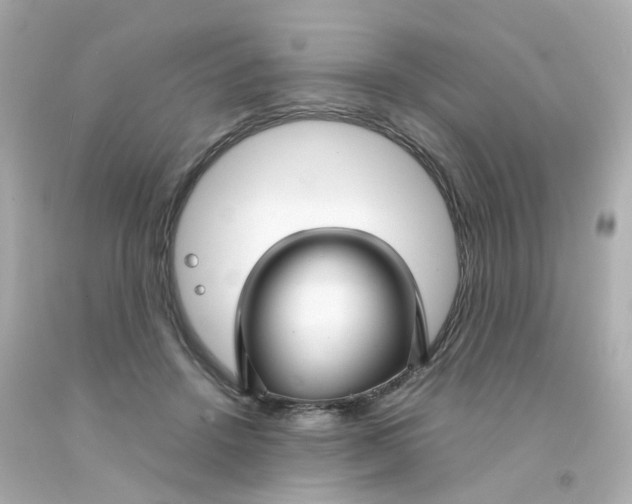 X0000093150456200710241406