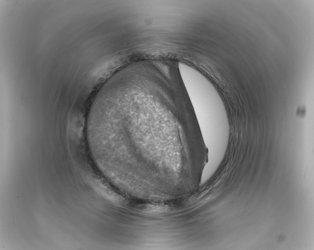 X0000093150458200710241406