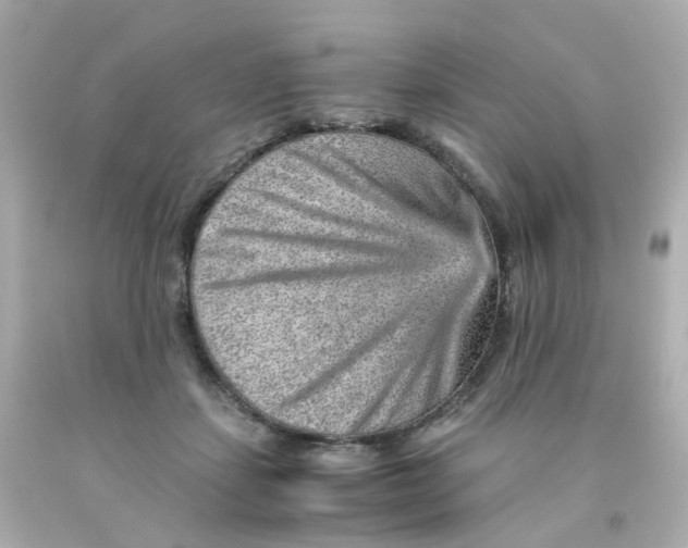 X0000093150459200710241406