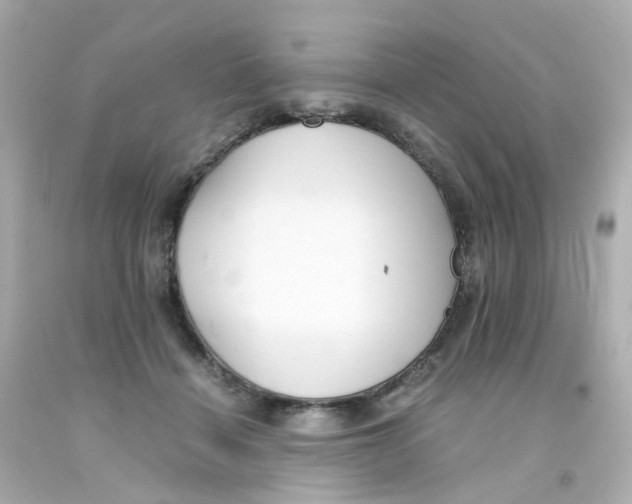 X0000093150460200710241406