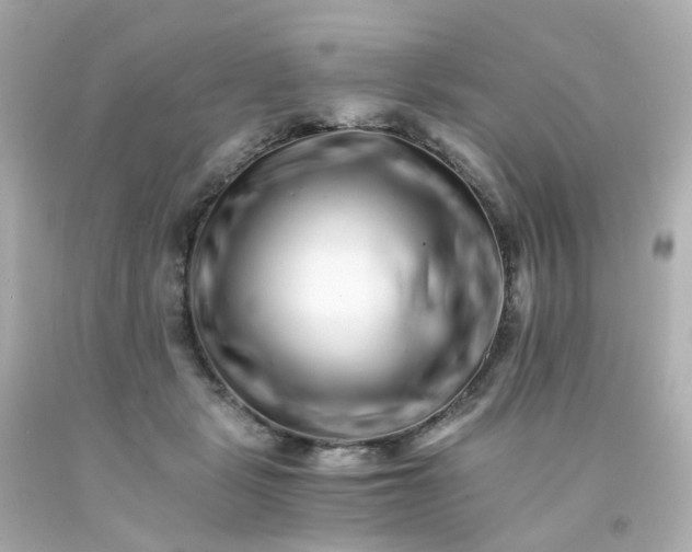 X0000093150461200710241406