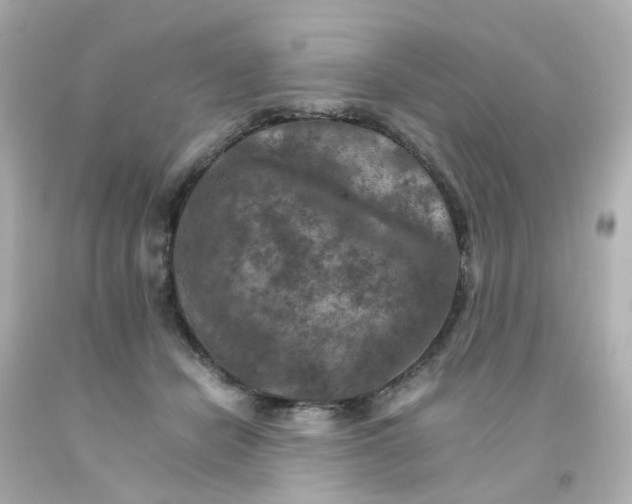 X0000093150462200710241406