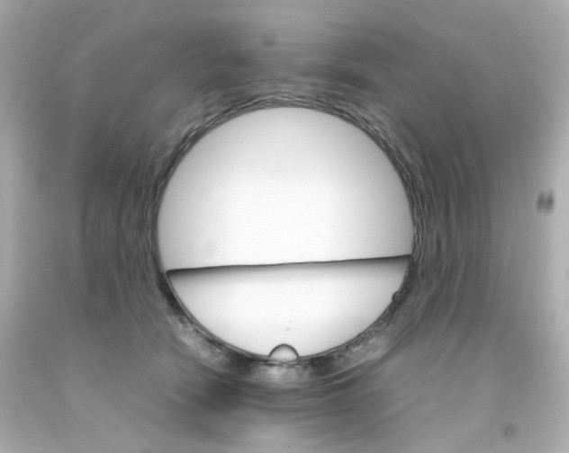 X0000093150466200710241406