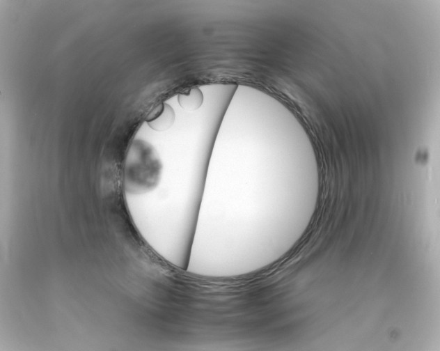 X0000093150467200710241406