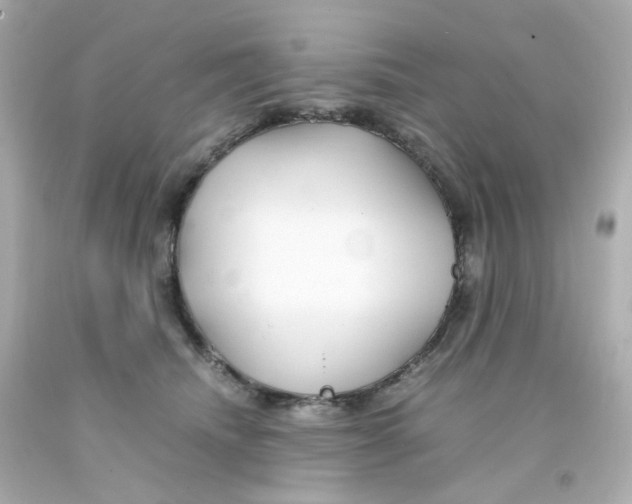 X0000093150468200710241406