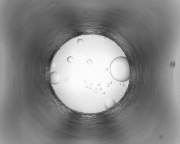 X0000093150469200710241406