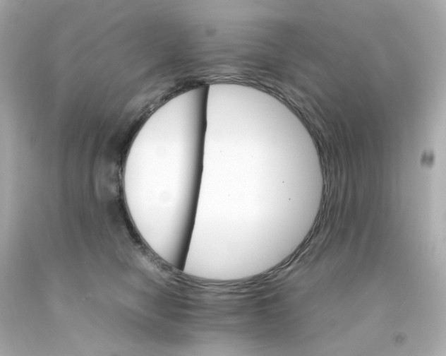 X0000093150470200710241406