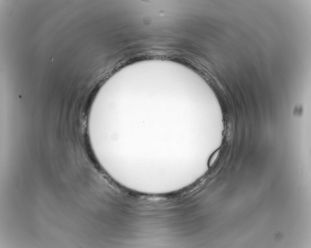 X0000093150476200710241406