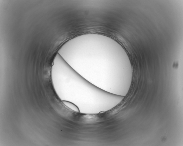 X0000093150477200710241406