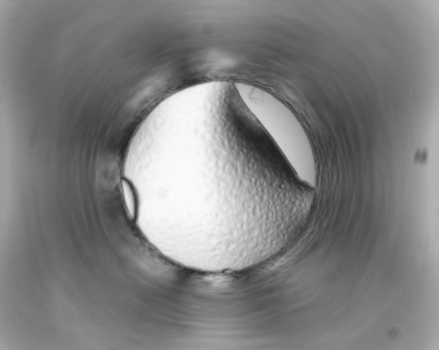 X0000093150478200710241406