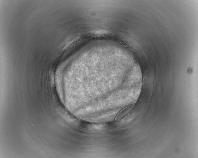 X0000093150479200710241406