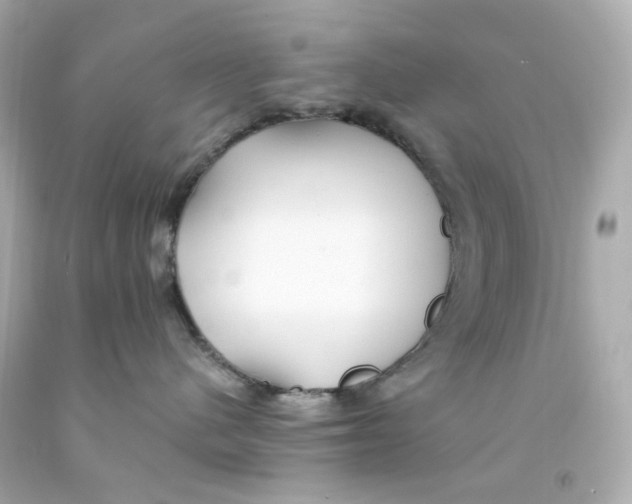 X0000093150480200710241406