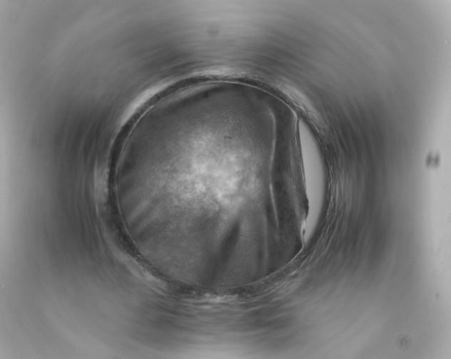 X0000093150484200710241406